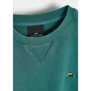 Baggy sweatshirt til piger Diverse Coalition SK8 image-4