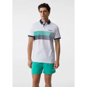 Striped Printed Cotton Polo Diverse Cutwatern image-1