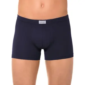Unterhose Diwari Basic MSH 127 image-1