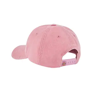 Trucker Cap Dickies Hardwick image-1