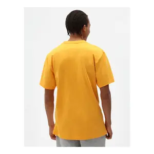T-shirt Dickies Porterdale image-1