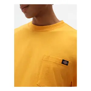 T-shirt Dickies Porterdale image-2