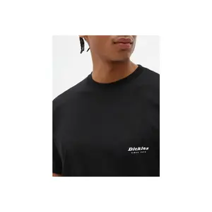 T-shirt Dickies Carré Quamba image-2