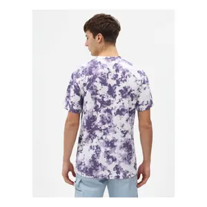 T-shirt Dickies Sunburg image-1