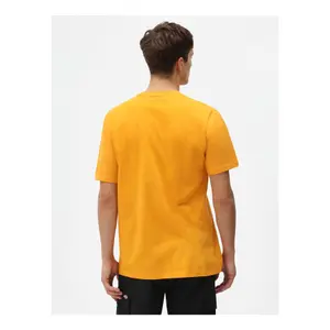 T-shirt Dickies Mapleton image-1
