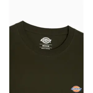 T-shirt Dickies Mapleton image-2