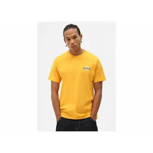 T-shirt Dickies Ruston image-0