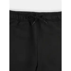 Αθλητικά παντελόνια Dickies Mapleton image-2