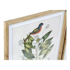 Cadre bird tropical oiseaux DKD Home Decor (x4) image-1