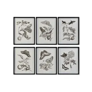 Moderne bloemenframe DKD Home Decor (x6) image-0