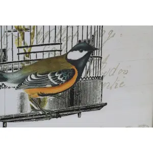 Shabby chic ramme cage DKD Home Decor (x4) image-2