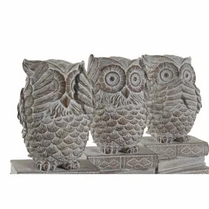 Distressed owl figurine DKD Home Decor (x3) image-0