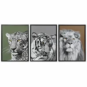 Kolonialer Dschungelrahmen DKD Home Decor (x3) image-0