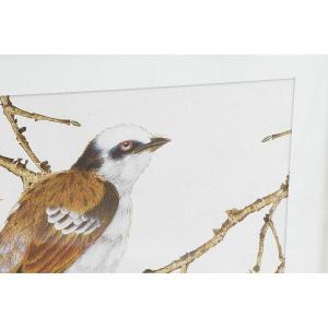 Shabby chic vogel lijst DKD Home Decor (x4) image-1