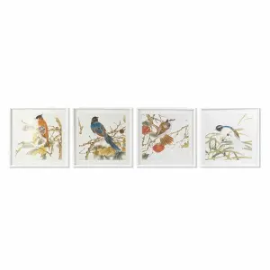 Shabby chic vogel lijst DKD Home Decor (x4) image-0