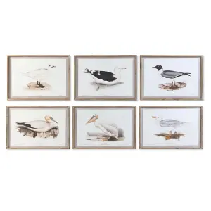 Traditioneller Vogelrahmen DKD Home Decor (x6)