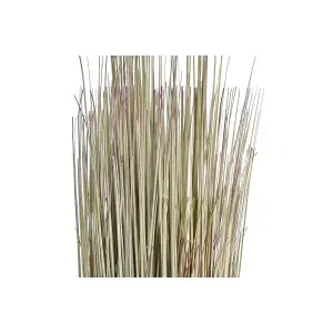 Plante décorative polyéthylène DKD Home Decor 25x25x68 cm image-1