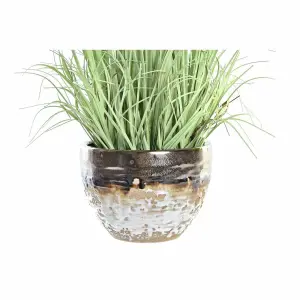 Decorative plant polyethylene porcelain DKD Home Decor 20x20x66 cm image-2