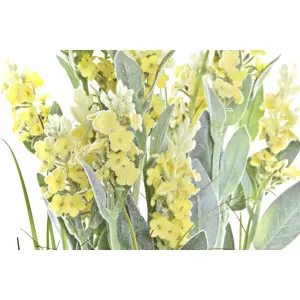 Decorative plant polyethylene porcelain DKD Home Decor 20x20x66 cm image-1