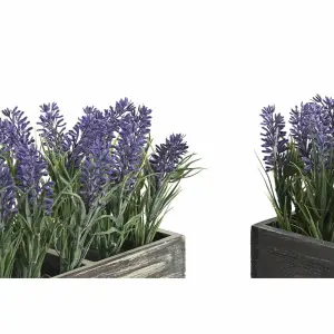Διακοσμητικό φυτό από πολυαιθυλένιο DKD Home Decor 32x14x19,5 cm image-1