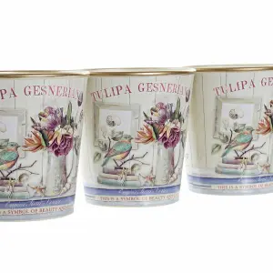 Pot PVC Aluminium DKD Home Decor Shabby Chic 38x13x14 cm (x3) image-2