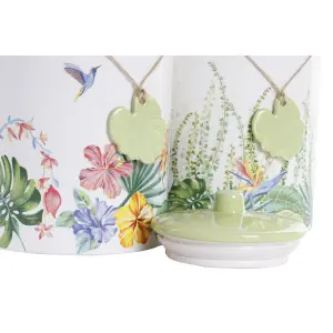 Box DKD Home Decor Jardin 1 L 12x12x16 cm (x2) image-0