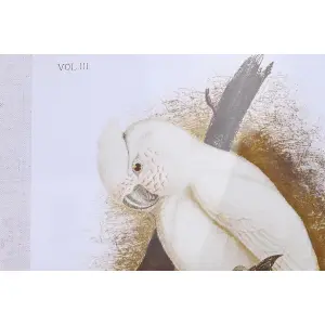 Parrot cottage tableau DKD Home Decor 50x2,8x65 cm 50x65x2.8 cm (x4) image-2