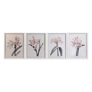 Birch glass frame DKD Home Decor 55x70x2,5 cm 55x2,5x70 cm (x4)