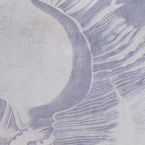 Cadre verre conque DKD Home Decor 50x2x60 cm 50x60x2,5 cm (x4) image-2