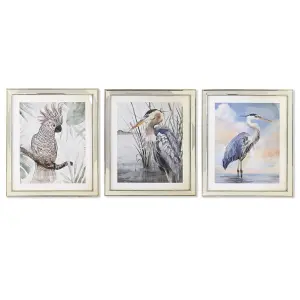 Κάδρο με μεσογειακά πουλιά DKD Home Decor (x3) image-0