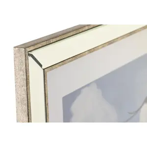 Κάδρο με μεσογειακά πουλιά DKD Home Decor (x3) image-2