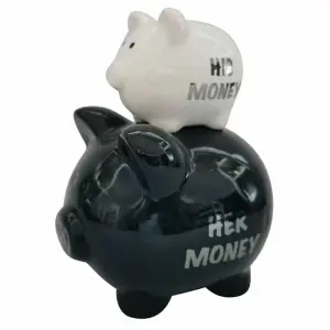 Μοντέρνος χοίρος ταμιευτήρας ντολομίτη DKD Home Decor image-2