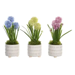 Plante décorative polypropylène DKD Home Decor Mousse 15x15x30 cm (x3) image-0