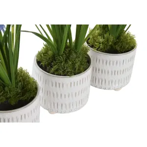 Plante décorative polypropylène DKD Home Decor Mousse 15x15x30 cm (x3) image-2