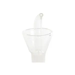 Γυάλινος ελαιώνας από βόριο DKD Home Decor image-3
