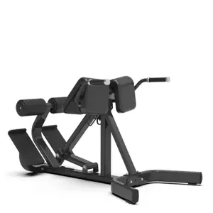 Roman chair DKN Technology F2G