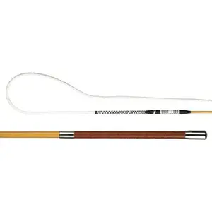 Horseback riding chambermaid Döbert image-0