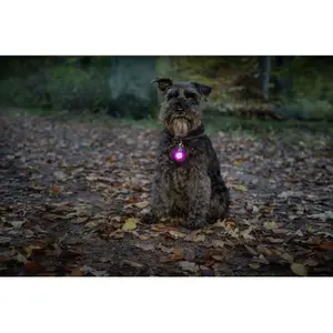 Leuchthalsband für Hunde Burger LED Dogman image-1