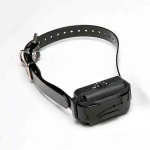 Collar para perro suplementario Dogtra E-Fence 3500
