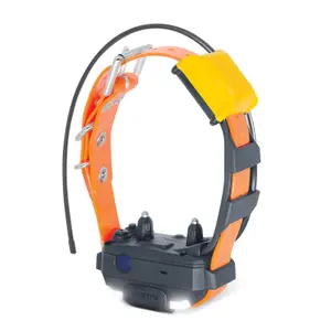 Mini collar para perro Dogtra Pathfinder 2