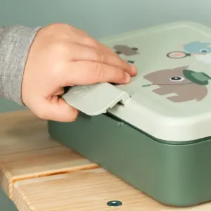 Baby Lunch Box with Divider Done by Deer Tiny trails image-4