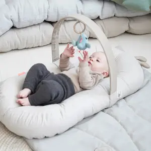 Cozy Lounger Baby Activity Arch Done by Deer Raffi image-1