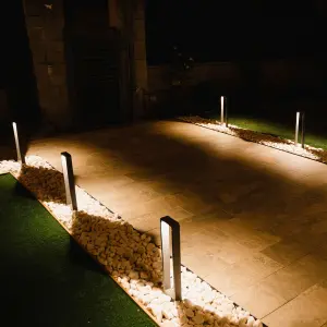 LED light fixture Dopo lighting Sibila IP54 COB image-2