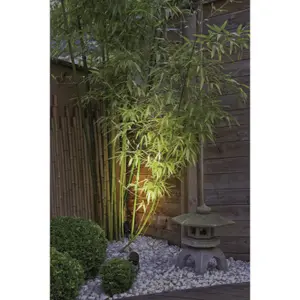 Illuminated spotlight Dopo lighting Lulu IP66 GU10 MR16 3.50W 329lm/366lm CRI80 2700K/4000K image-3