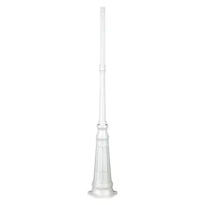 Outdoor Light Pole Dopo lighting Postes image-0
