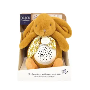 Rabbit musical nightlight Doudou & compagnie Projection d'Étoile image-4