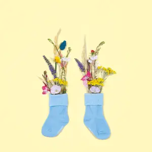 Set of 7 pairs of baby socks Doudou & compagnie image-1