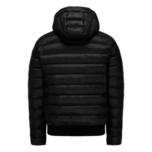 Jacket Jott Mitchell Grand Froid image-1