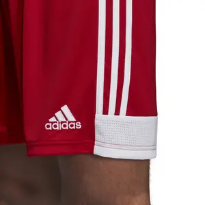 Pantalón corto adidas Tastigo 19 image-5