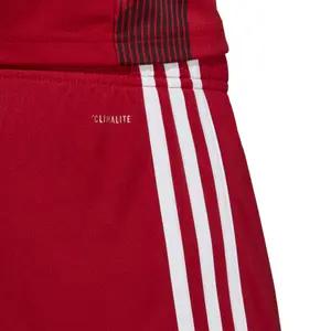 Pantalón corto adidas Tastigo 19 image-6